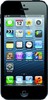 Apple iPhone 5 16GB - Ярославль